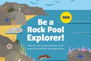 SLSC Rockpools Ticketbox 490X350px