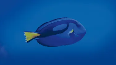 Bluetang Header
