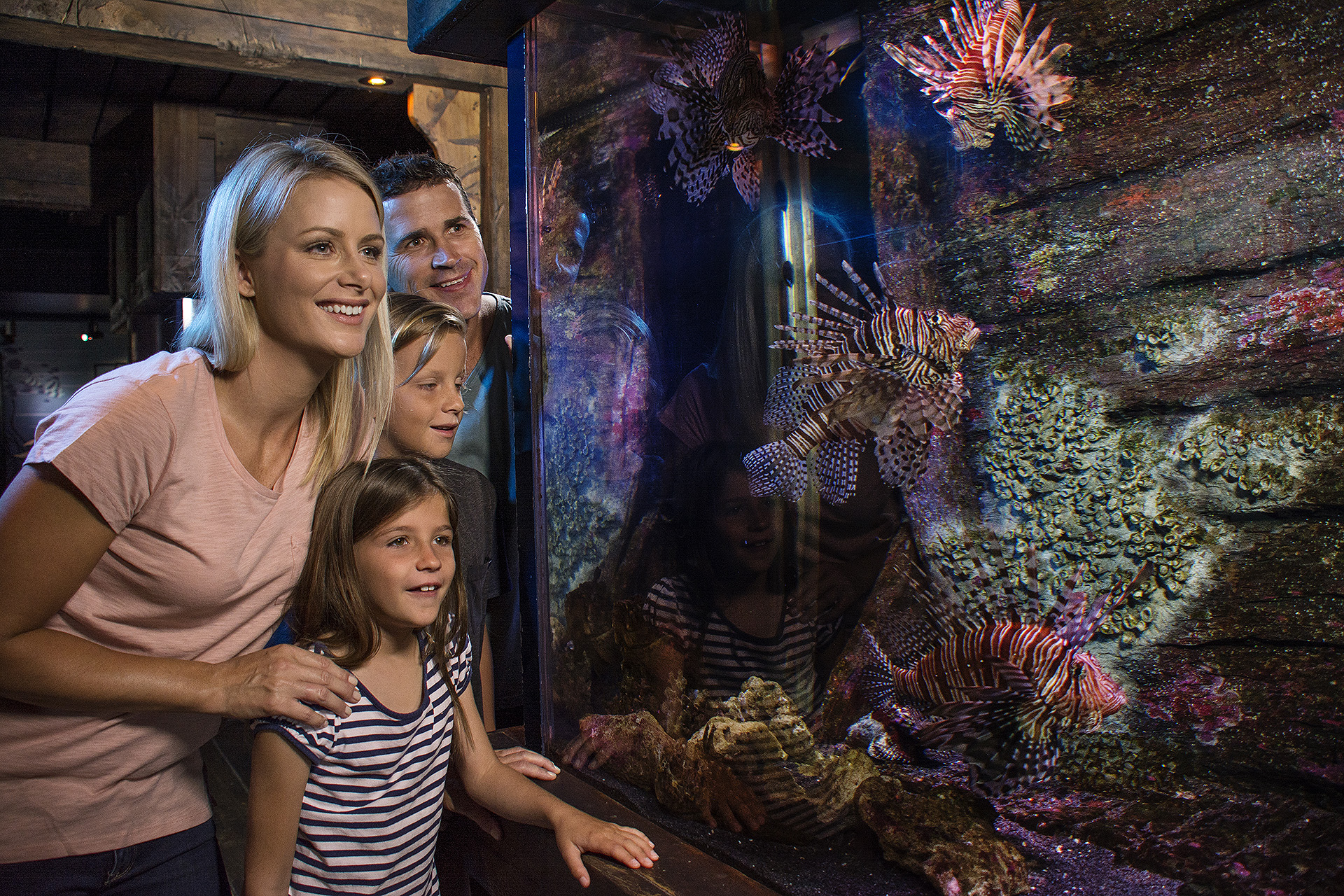 Family looking into aquarium tank