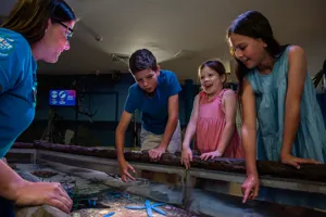 Web ESP7022 Enhanced NR Copy