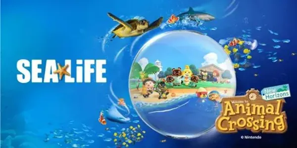 Sl Ac Ticket Image 600X300px 1