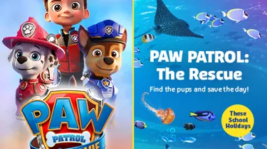 SL Paw Newsblock 450X442px
