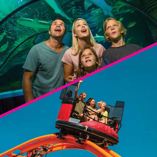 The COAST to COASTER Ticket pairs SEA LIFE Sunshine Coast and Aussie World, two iconic Sunshine Coast experiences.