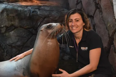 Take your valentine to SEA LIFE Sunshine coast for a romantic seal of approval