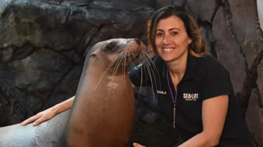 Take your valentine to SEA LIFE Sunshine coast for a romantic seal of approval