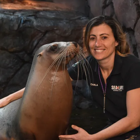 Take your valentine to SEA LIFE Sunshine coast for a romantic seal of approval