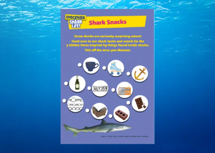 Sharklife Booklet