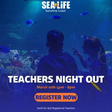 SLSC Teacher Famil