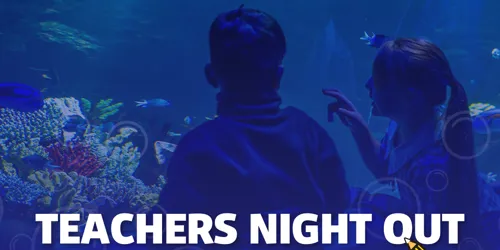SLSC Teacher Famil