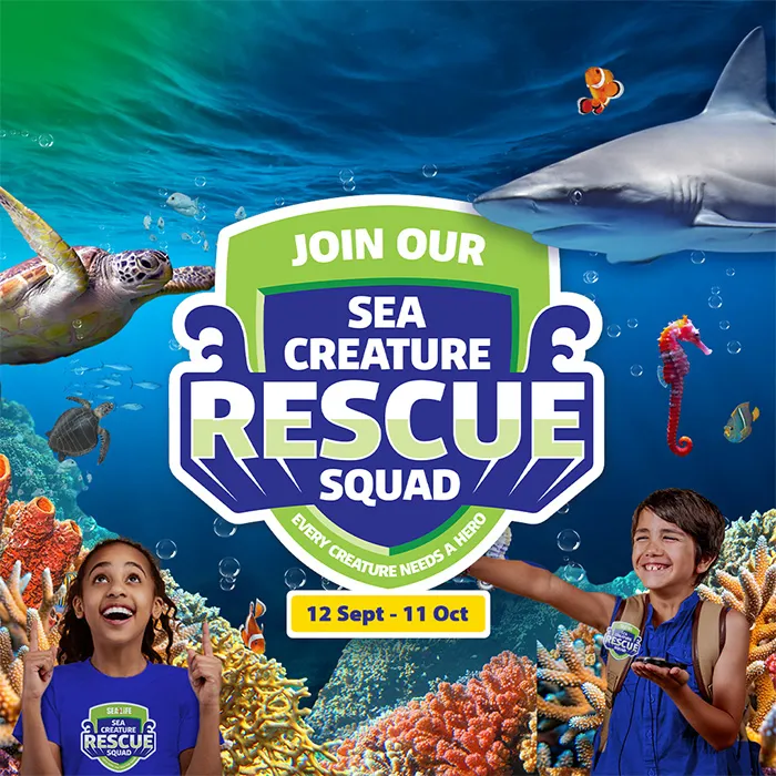 SLSC Rescuesquad KV Whatson 700Px