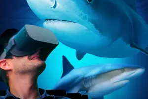 VR Experience Sharks