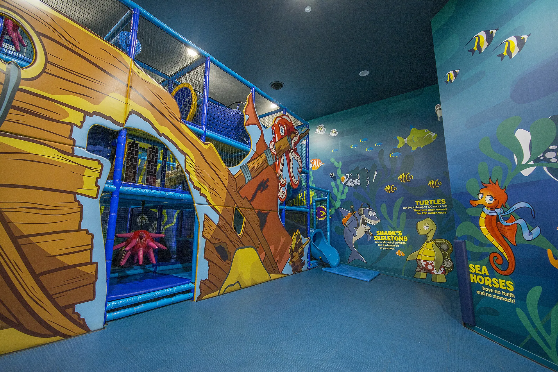 Indoor Playground