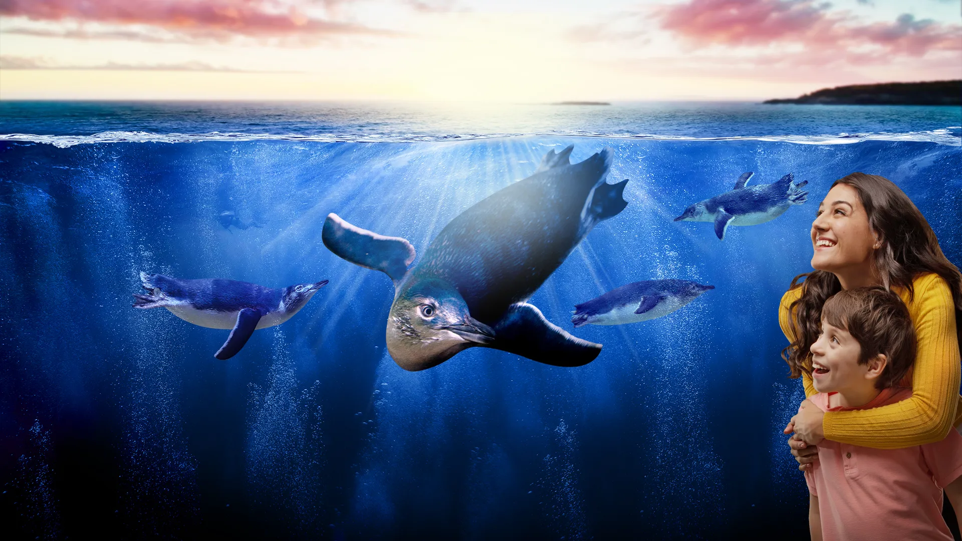 Coolcreatures Frontpagehero 1920X1080px SLSC