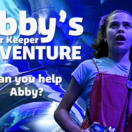 Abby's Junior Keeper HD Poster