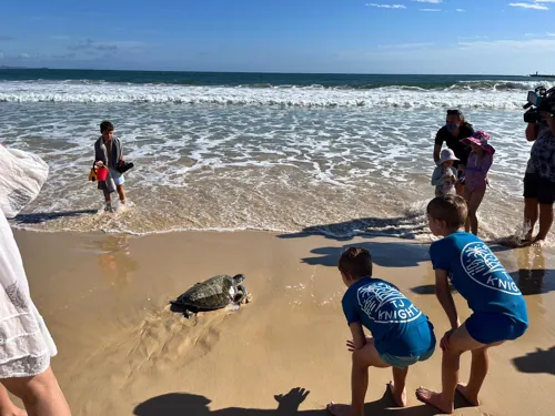 The beach is the best thing to do with the family on the Sunshine Coast.