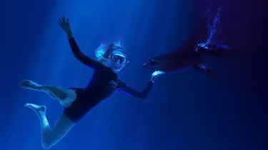 Girl Swim with Seal at SEA LIFE Sunshine Coast