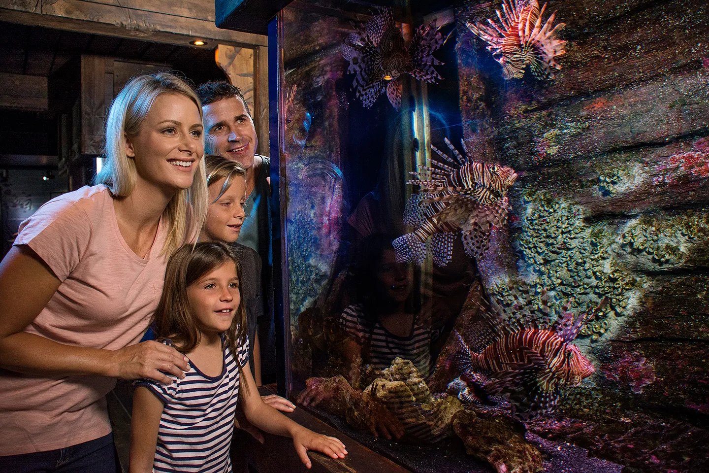 Family Coastal Wreck Lionfish