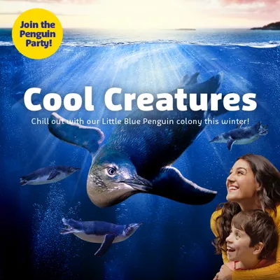 Coolcreatures Whatson 700X700px SLSC