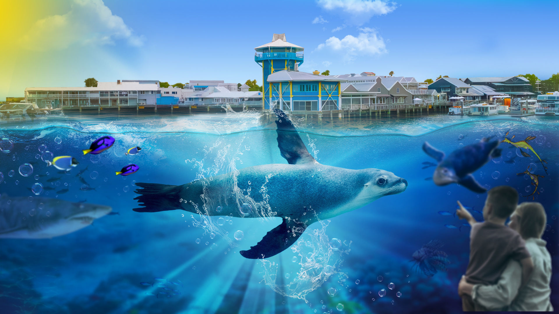 Dive below the surface at SEA LIFE Sunshine Coast