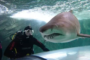 Shark Dive Xtreme2