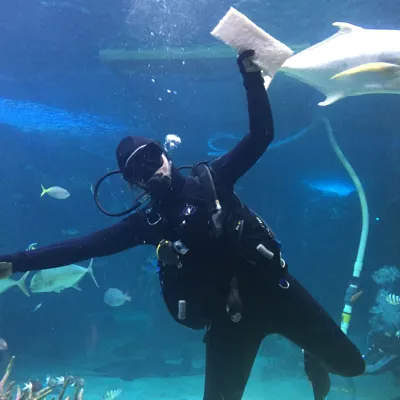 Diver