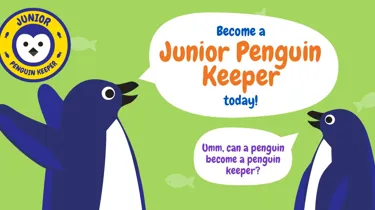 JPK Facebook 1200X628px Today