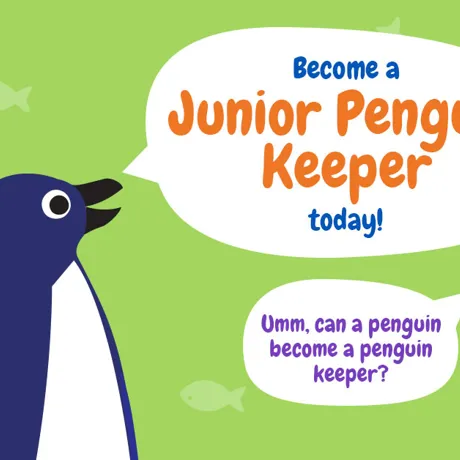 JPK Facebook 1200X628px Today