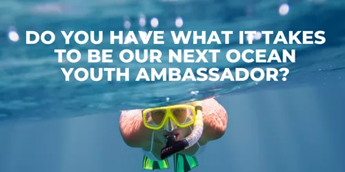 DO YOU HAVE WHAT IT TAKES TO BE OUR NEXT OCEAN YOUTH AMBASSADOR