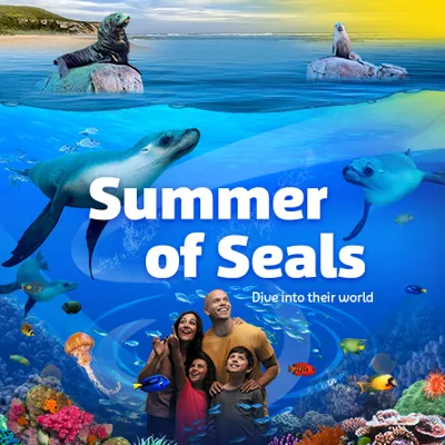 SLSC SOS Newsblock 450X442px