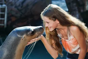 Seals Encounter