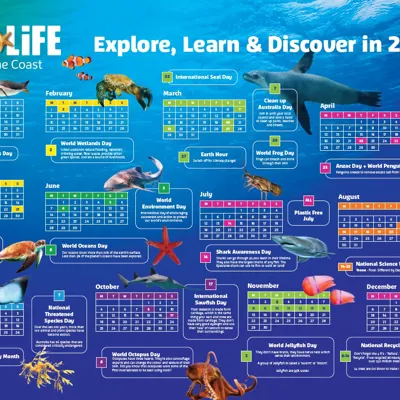 2021 Calendar SLSC Screenshot