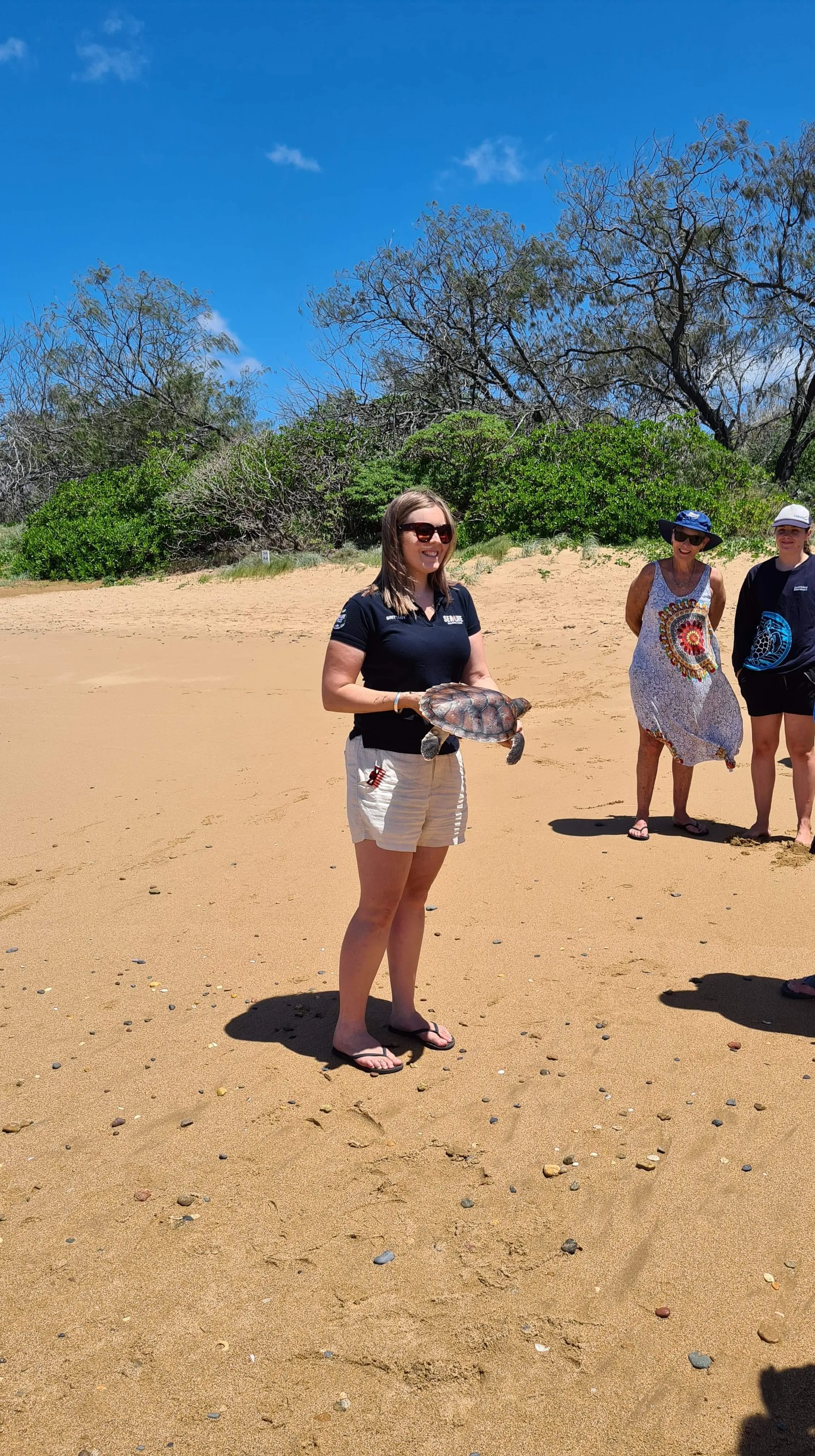 Iluka Release 7