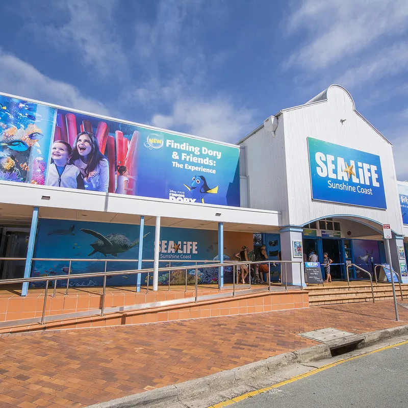 Where Is SEA LIFE Sunshine Coast Aquarium Near Me Location Transport where-is-sea-life-sunshine-coast-aquarium-near-me-location-transport