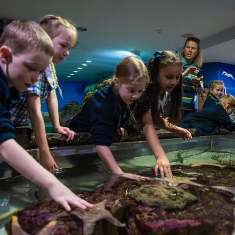 Web Sealifesc Ed 20
