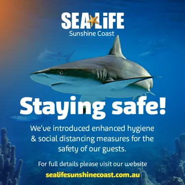 SLSC Reopening Socialstayingsafe 1080X1080px