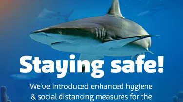 SLSC Reopening Socialstayingsafe 1080X1080px
