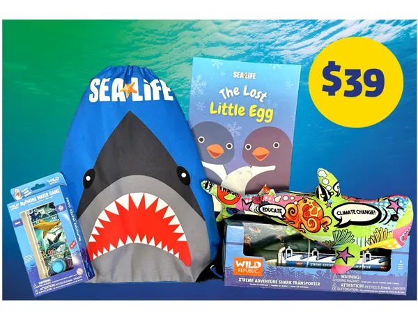 Accesso Imagery Options Blue Bag