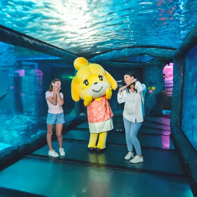Animal Crossing: New Horizons at SEA LIFE Sunshine Coast