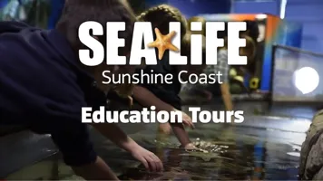 Screenshot Of SLSC Schools Video