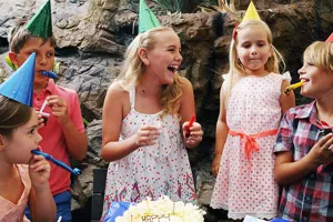 Birthday Parties