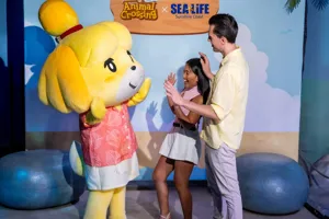 SLSC + Animal Crossing01