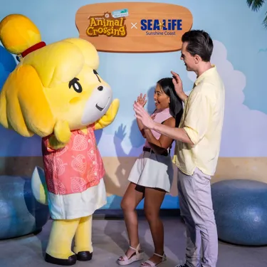 SLSC + Animal Crossing01