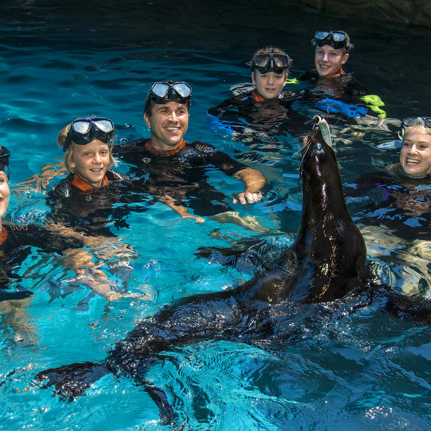 SEA LIFE Discount Tickets & Deals SEA LIFE Sunshine Coast