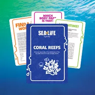 Activity Booklet Images