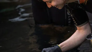 Web SLSC Penguin Water Feed015