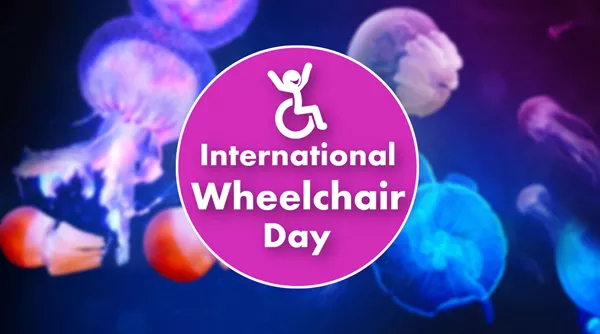 Wheelchair Day (1)