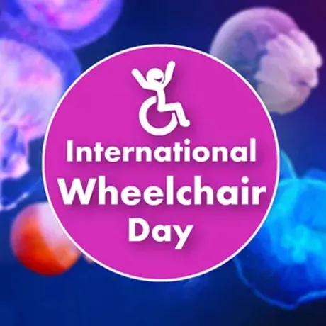 Wheelchair Day (1)