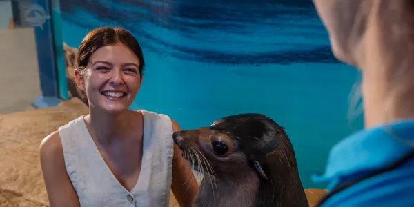 sealencounter