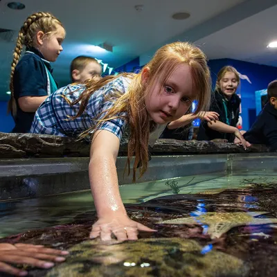 SLSC Rockpoolcropped