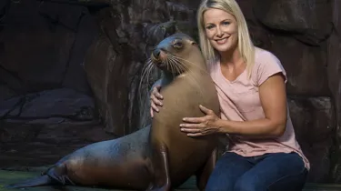 Seals Encounter 2